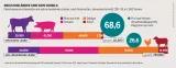 Fleischatlas Infografik: Fleischkonsum entwickelter und sich entwickelnder Länder, nach Fleischarten