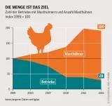 Fleischatlas Infografik: Zahl der Betriebe mit Masthühnern und Anzahl Masthühner