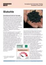Cover Factsheet Biokohle