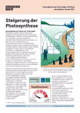 Cover Factsheet Photosynthese