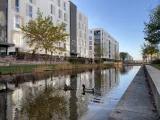 Enten schimmen in einem Regenwasserbecken, dahinter Wohnblöcke