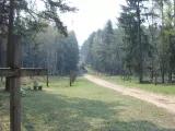 Holzkreuze auf beiden Seiten eines Waldweges