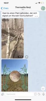 Screenshot eines Telegramchats mit dem Bot "Themadite Renji"