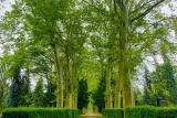 Weg auf dem Alevitischen Friedhof Weg auf dem Alevitischen Friedhof