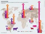 Fleischatlas Infografik: Osten im Zentrum