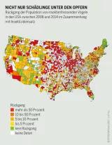 Pestizidatlas Infografik: Rückgang der Population von insektenfressenden Vögeln in den USA zwischen 2008 und 2014 im Zusammenhang mit Insektizideinsatz