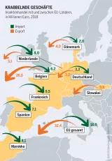 Pestizidatlas Infografik: Naturvielfalt auf biologisch bewirtschafteten und auf konventionell bewirtschafteten Getreidefeldern