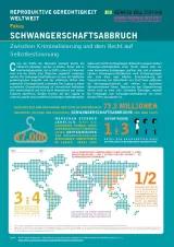 Cover Factsheet Schwangerschaftsabbruch