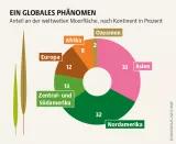 Mooratlas Infografik: Anteil an der weltweiten Moorfläche, nach Kontinent in Prozent