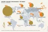 Indonesische Moore sind massiv zerstört. Seit einigen Jahren setzt die Regierung jedoch einen ambitionierten Moorschutz um, der seinesgleichen sucht Mooratlas Infografik: Moorfläche, in 1.000 Hektar