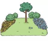 Garten mit Blumen, Hecken und ein Baum