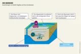 Auswirkungen von Kohle-Tagebau auf das Grundwasser