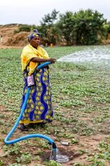 Eine Frau bewässert ihr Feld im Dorf Notto, Senegal.