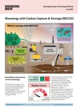 Cover Factshet BECCS