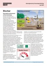 Cover Factsheet Biochar