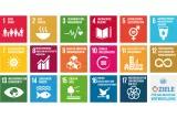 Icons der 17 Nachhaltigkeitsziele der UN
