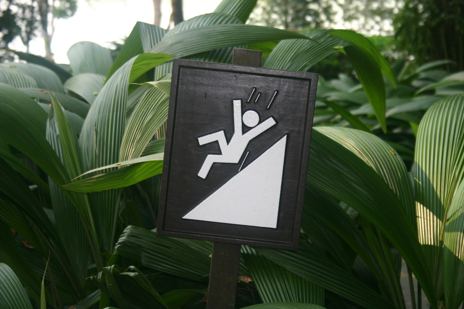 Taking Precaution on a Slippery Slope
