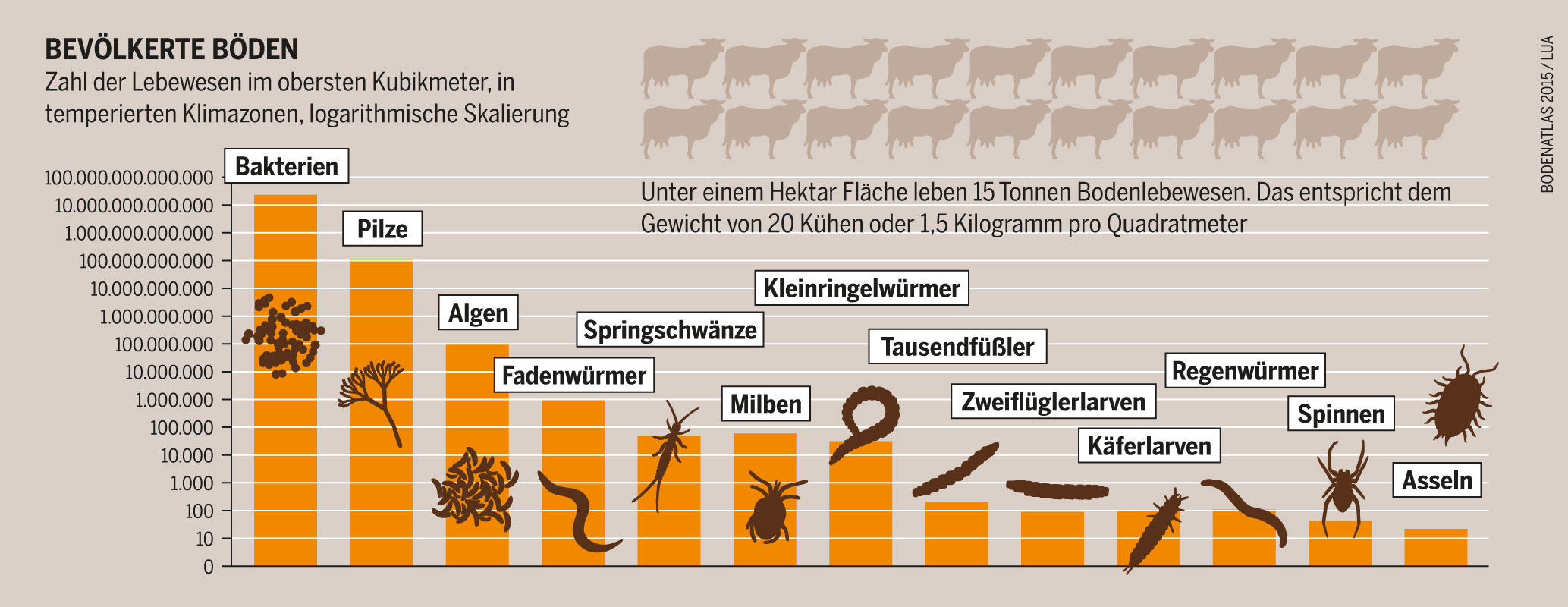 Skalierbarkeit Teil 1: Wie Pilze aus dem Boden