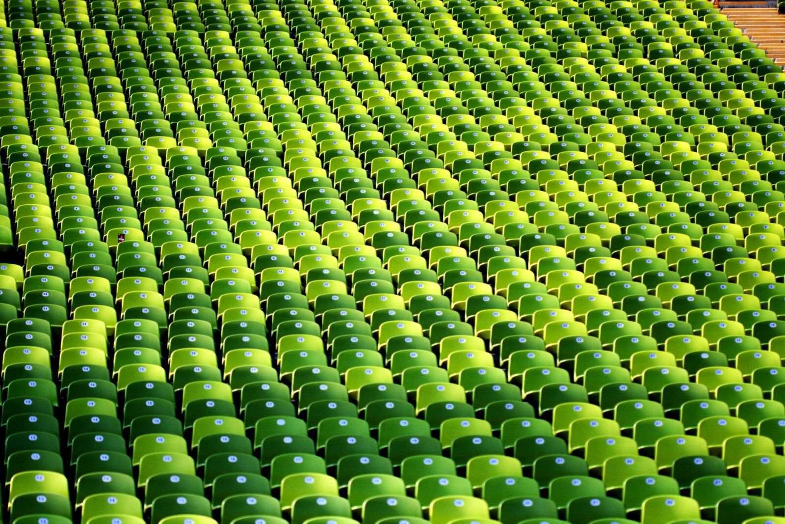 grüne Sitze grüne Sitze