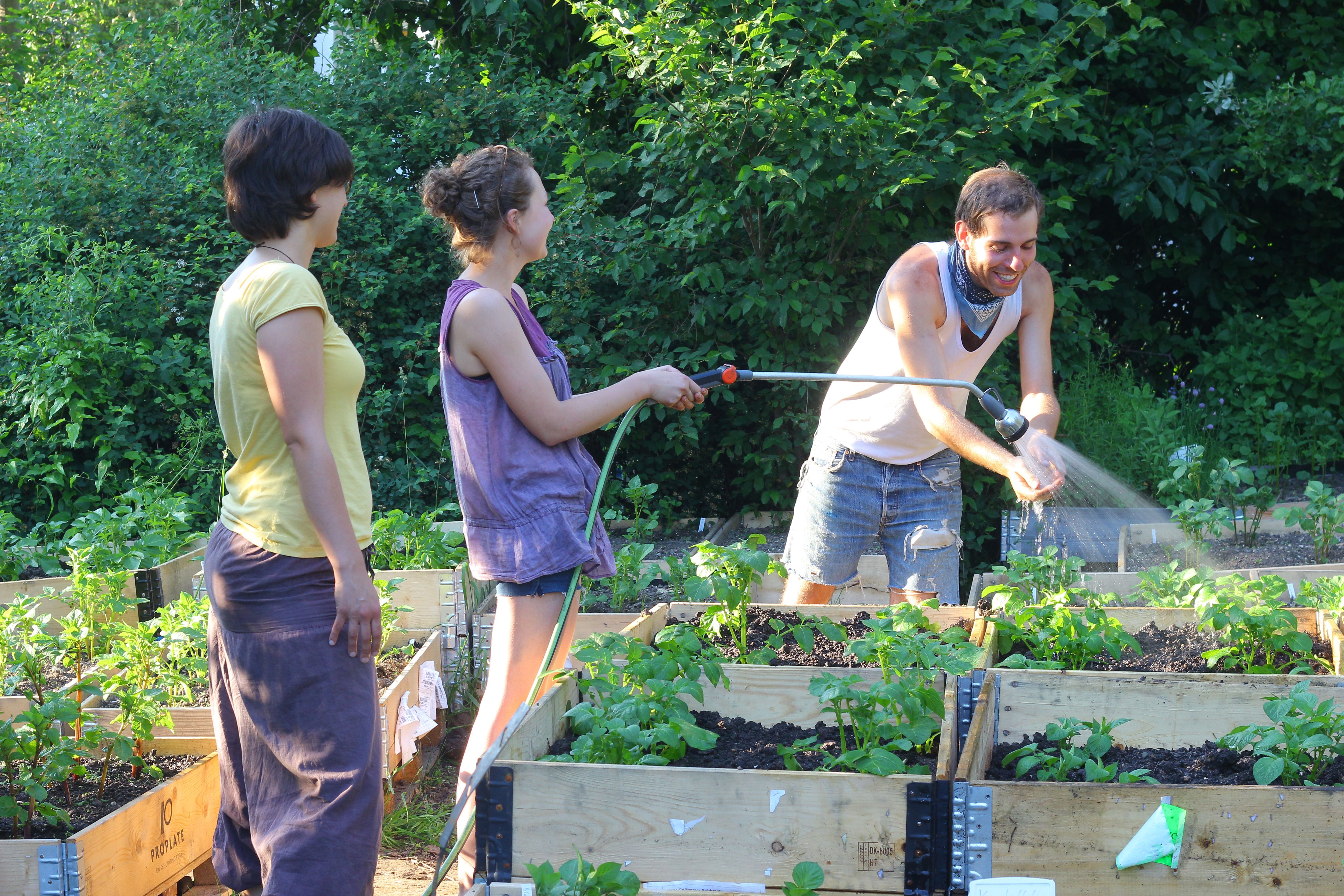 Urban Gardening
