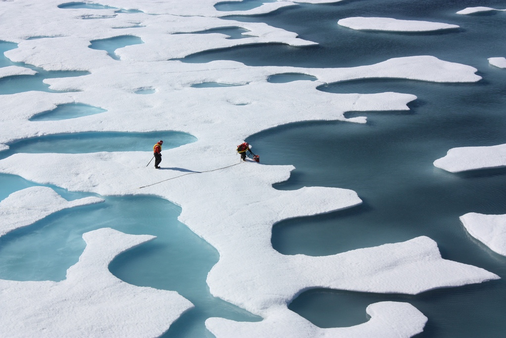 Arctic Arctic