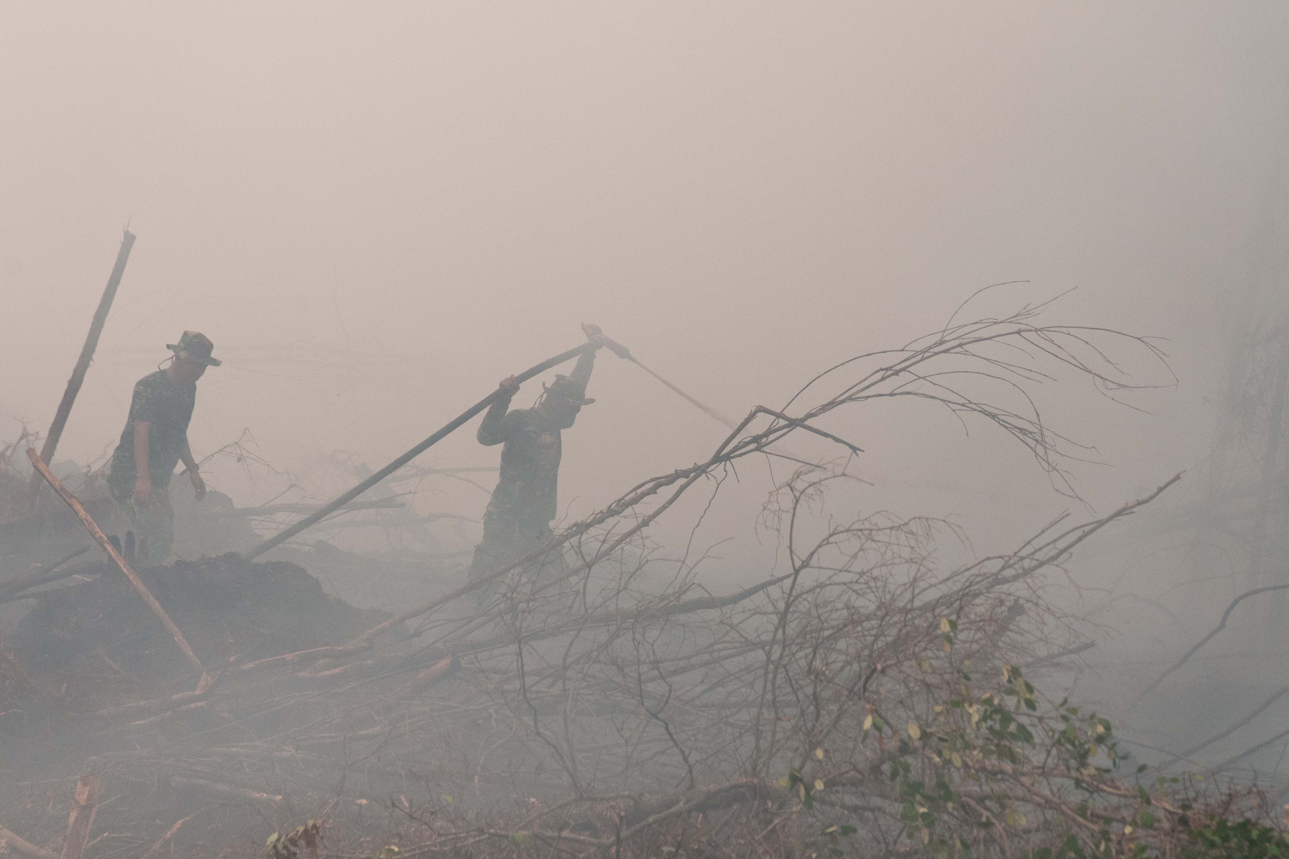 Waldbrand in Indonesien Waldbrand in Indonesien