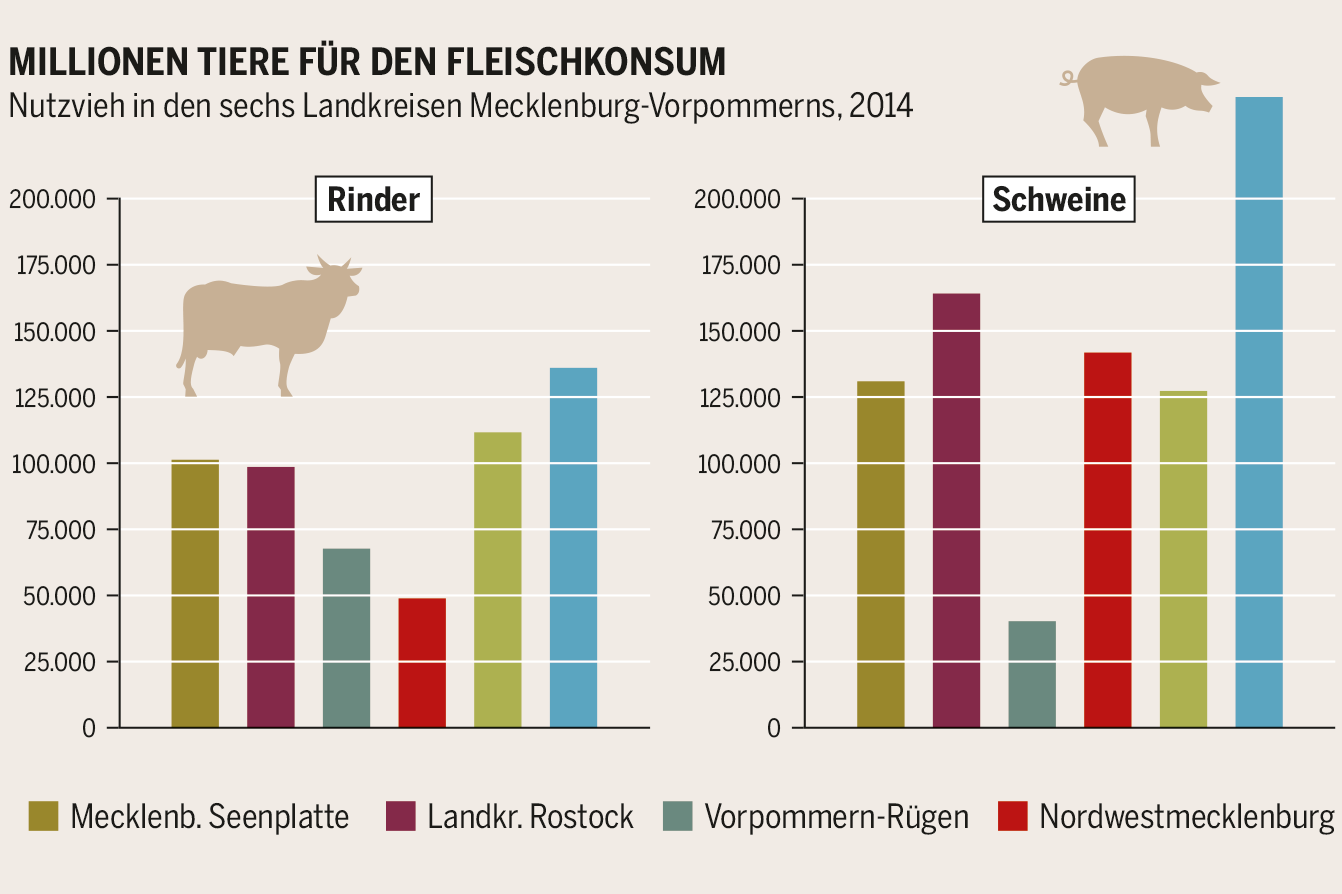 Nutzvieh Mecklenburg-Vorpommern
