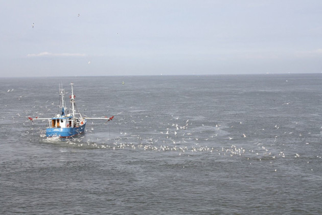 Fishing Boat