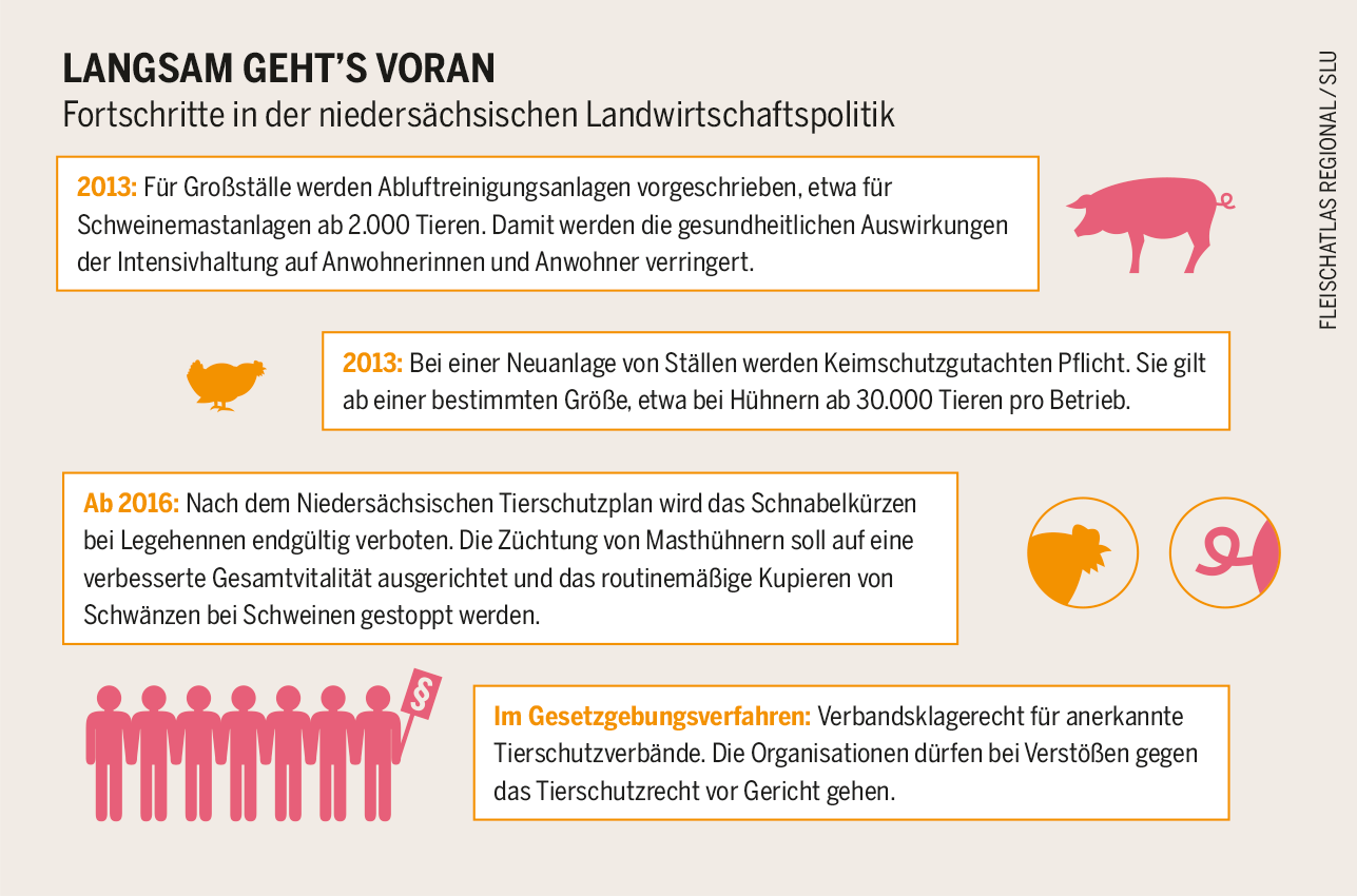 buy organisationsberatung beobachtet