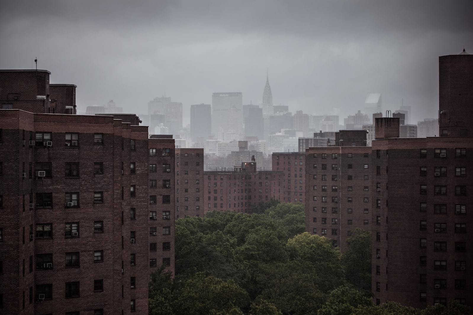 Stadt und Wald Stadt und Wald
