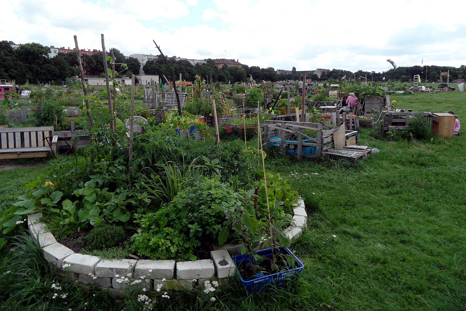 Urban Gardening