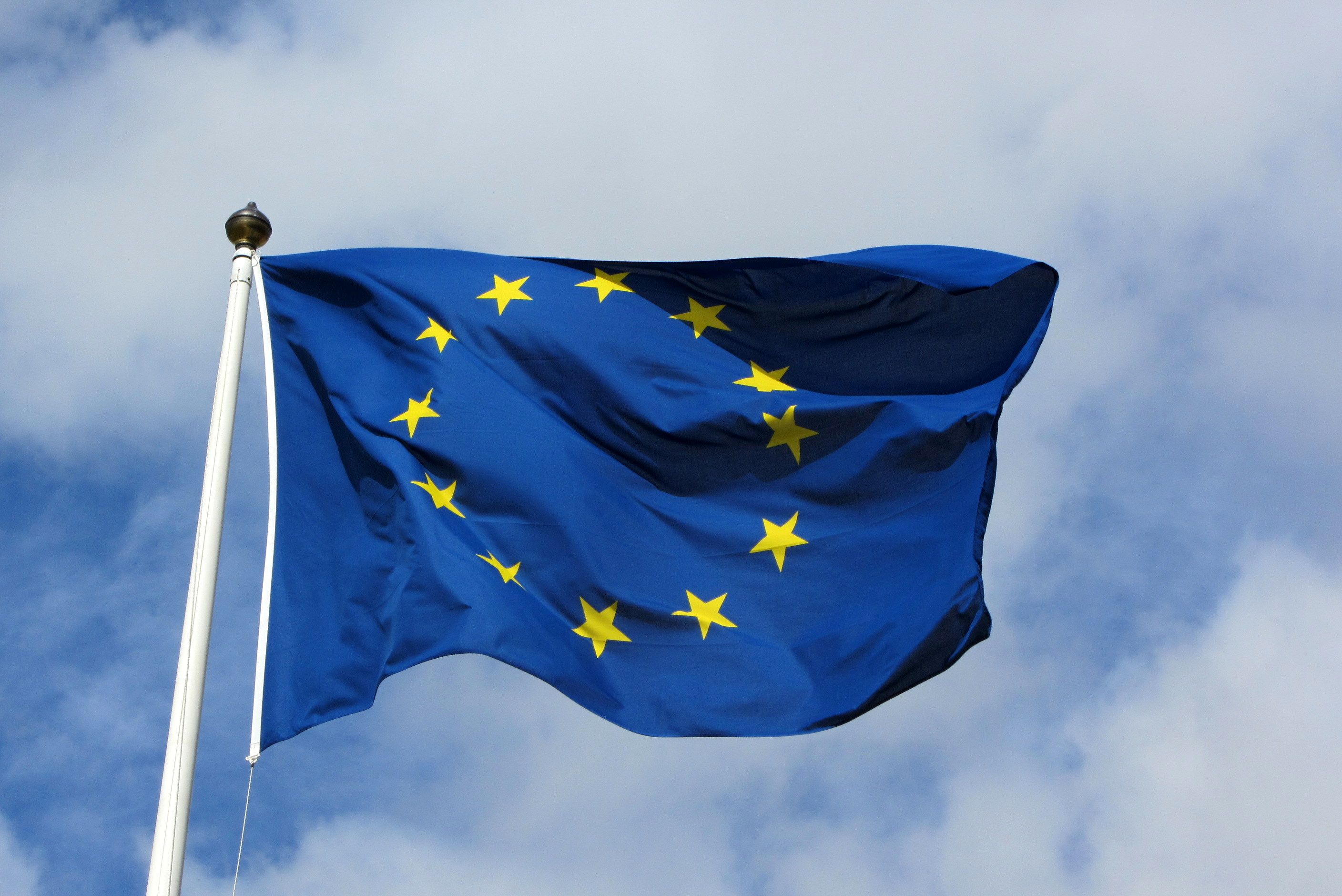 EU flag EU flag