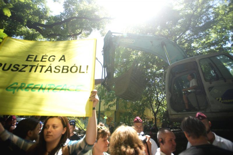 Protests against deforestation in Hungary A group of protester with a banner Greenpeace in Hungary