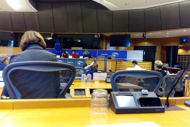 Fraktionssitzung Die Grünen/Europäische Freie Allianz im Europaparlament