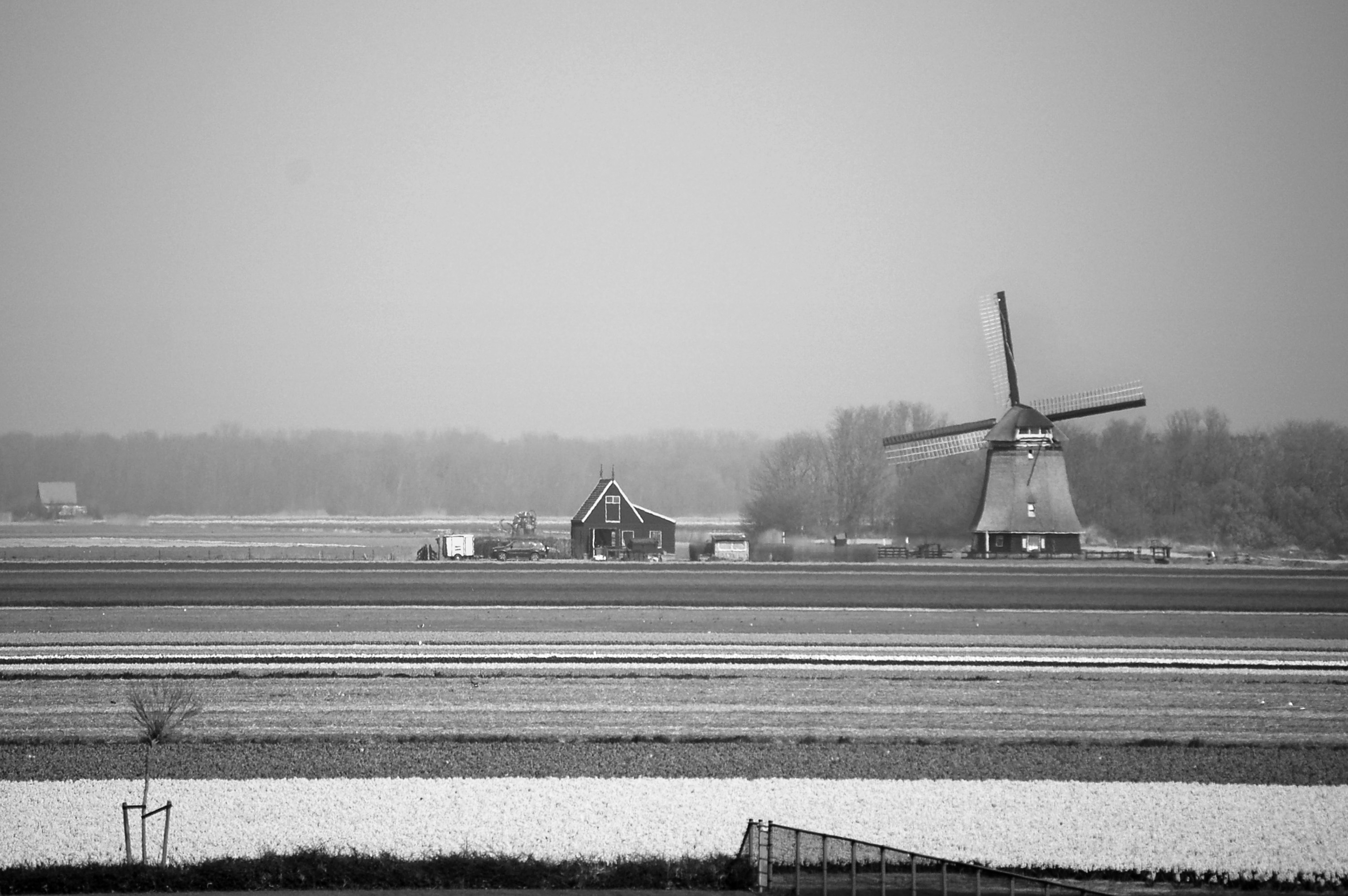 Netherlands Dutch landscape near Schagen