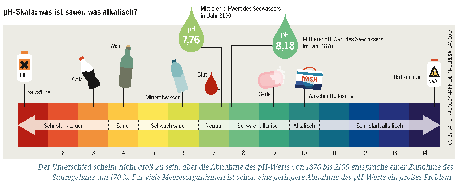 Acidification A Corrosive Future Heinrich Boll Stiftung