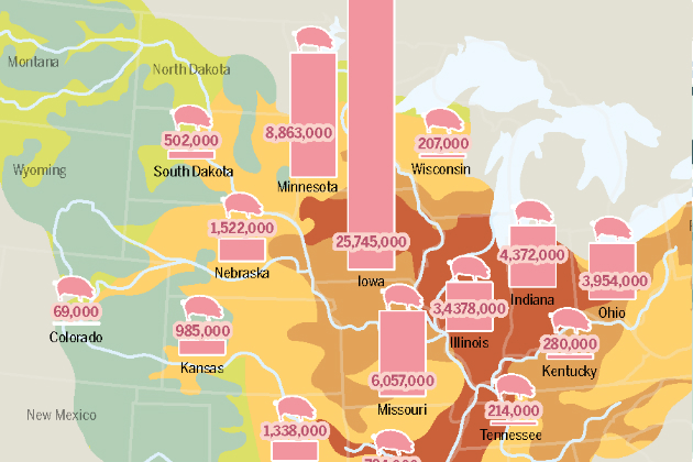 From the Ocean Atlas – Causes of the Dead Zone in the Gulf of Mexico – Pig Farming and Intensive Agriculture Infographic from the Ocean Atlas – Causes of the Dead Zone in the Gulf of Mexico – Pig Farming and Intensive Agriculture