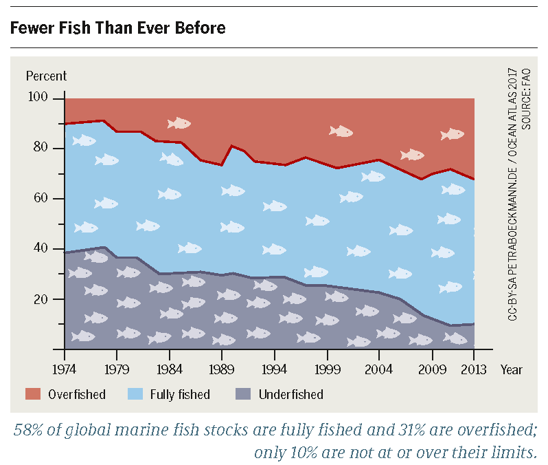 Fish almost out of stock? Heinrich Böll Stiftung