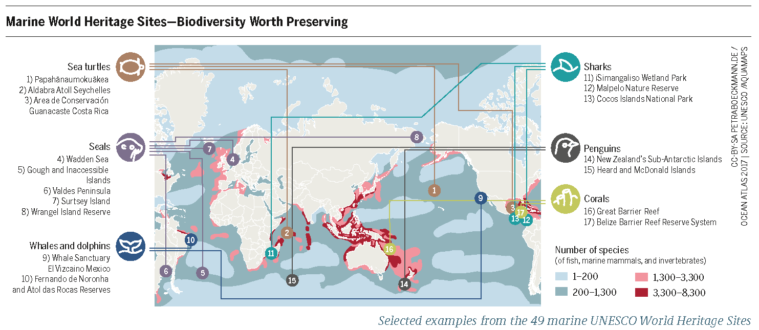 Biodiversity: The Danger of Declining Diversity | Heinrich Böll Stiftung