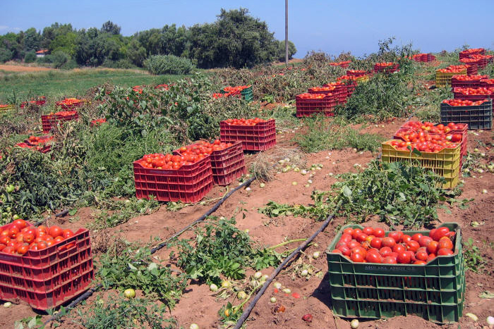 Agriculture, food production and labour migration in Southern Europe