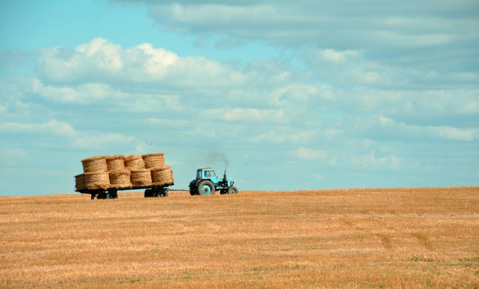 Weltweit gibt es über 570 Millionen Landwirt/innen Ein Traktor fährt über ein weites Feld