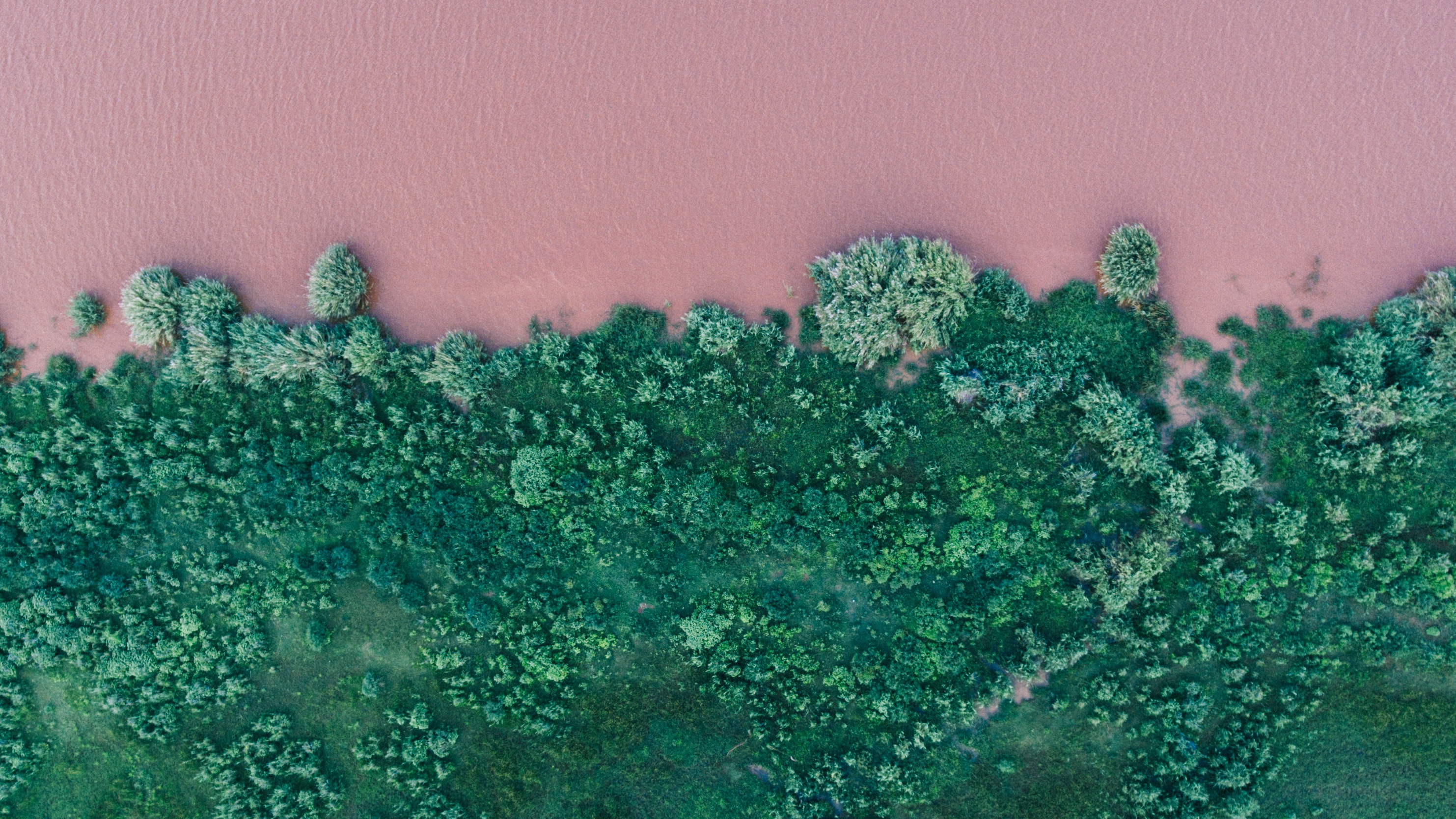 Pink river with green grass Pink river with green grass in Phalaborwa, South Africa