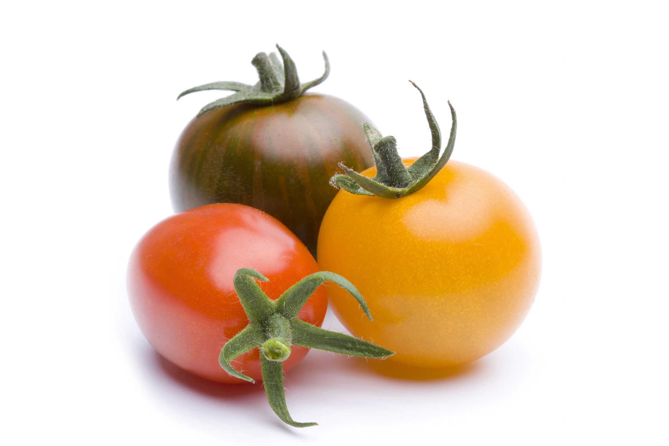 Tomatensamen geschenkt bekommen! (Sorte: Sunviva)