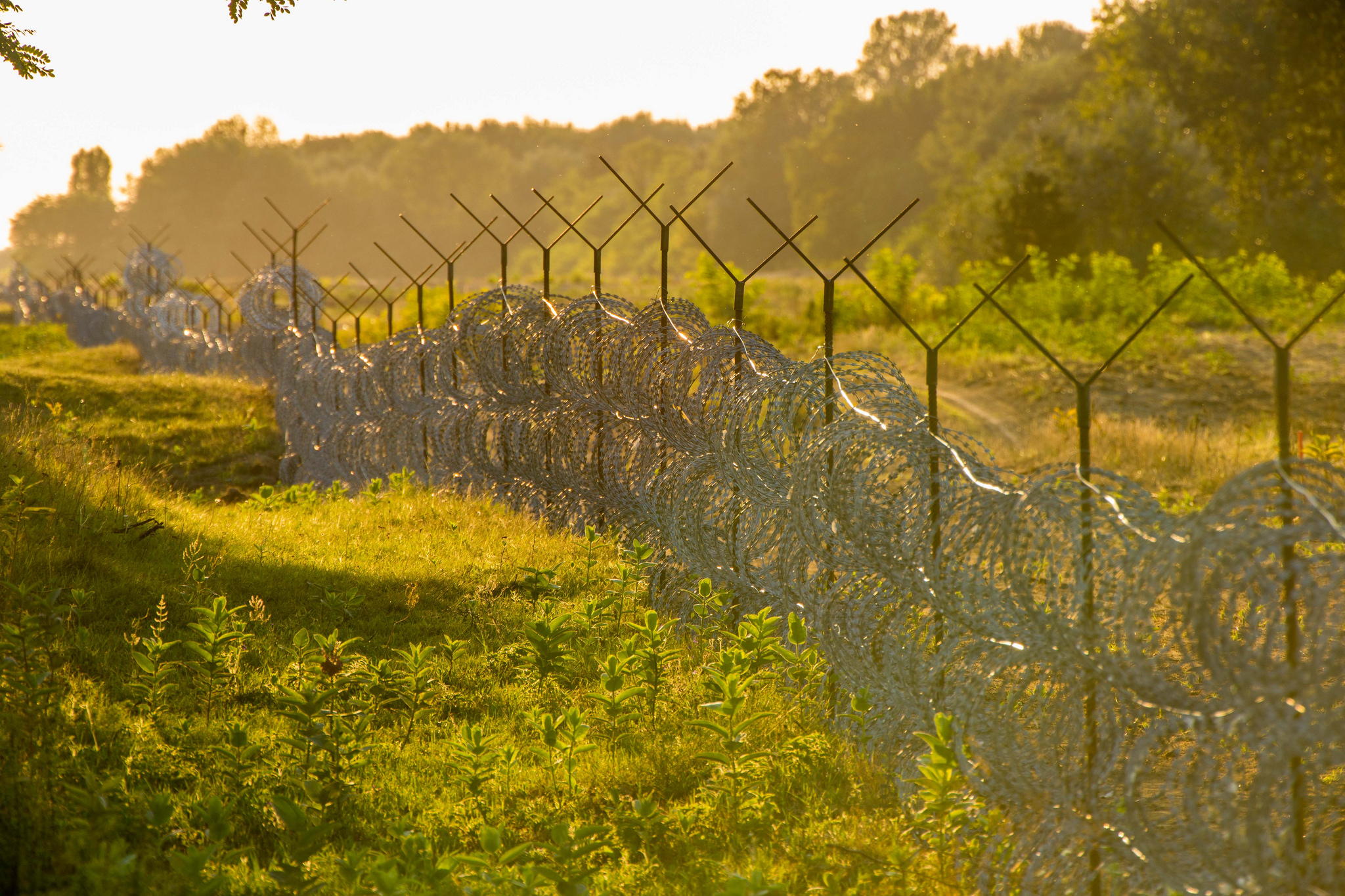 Ungarische Grenze zu Serbien im August 2015 Ungarische Grenze zu Serbien im August 2015