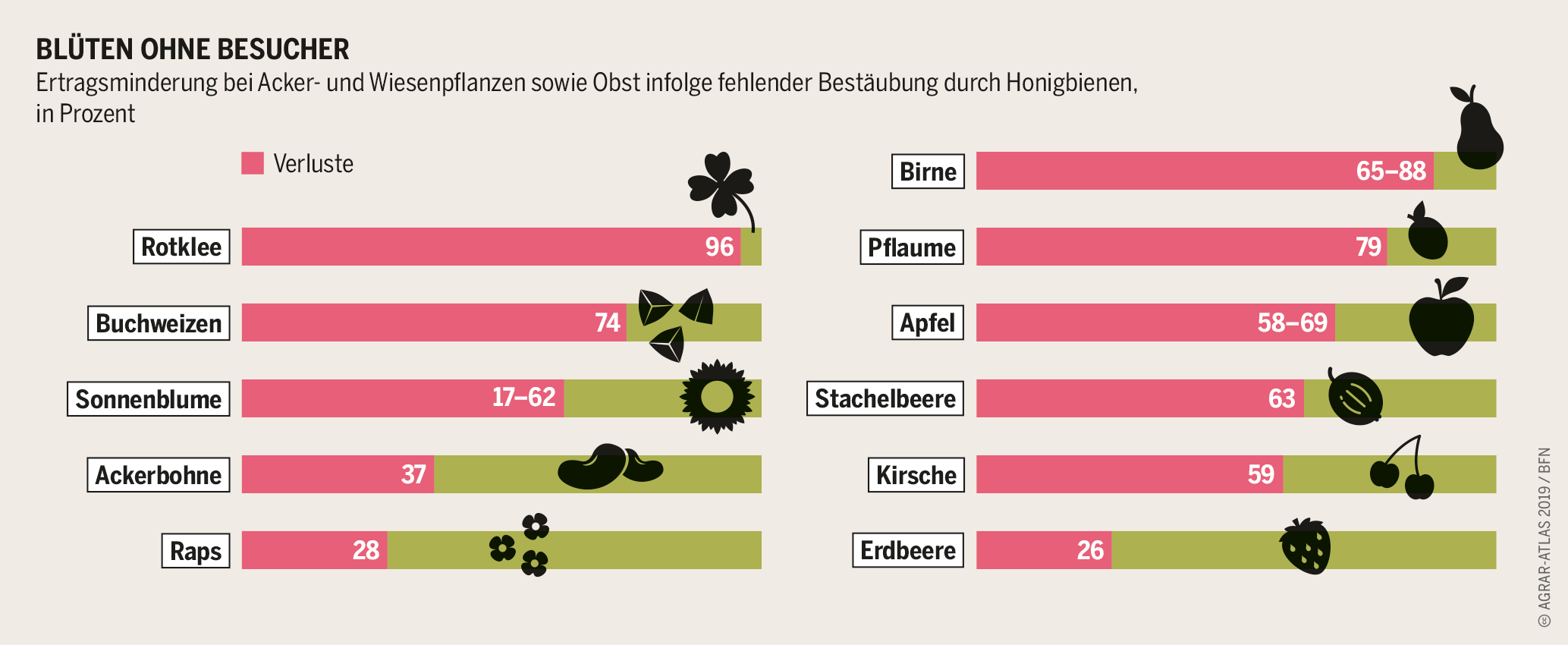 Agraratlas - Infografik - Bestäubung Honigbienen Agraratlas - Infografik - Ertragsminderung bei Acker- und Wiesenpflanzen sowie Obst infolge fehlender Bestäubung durch Honigbienen