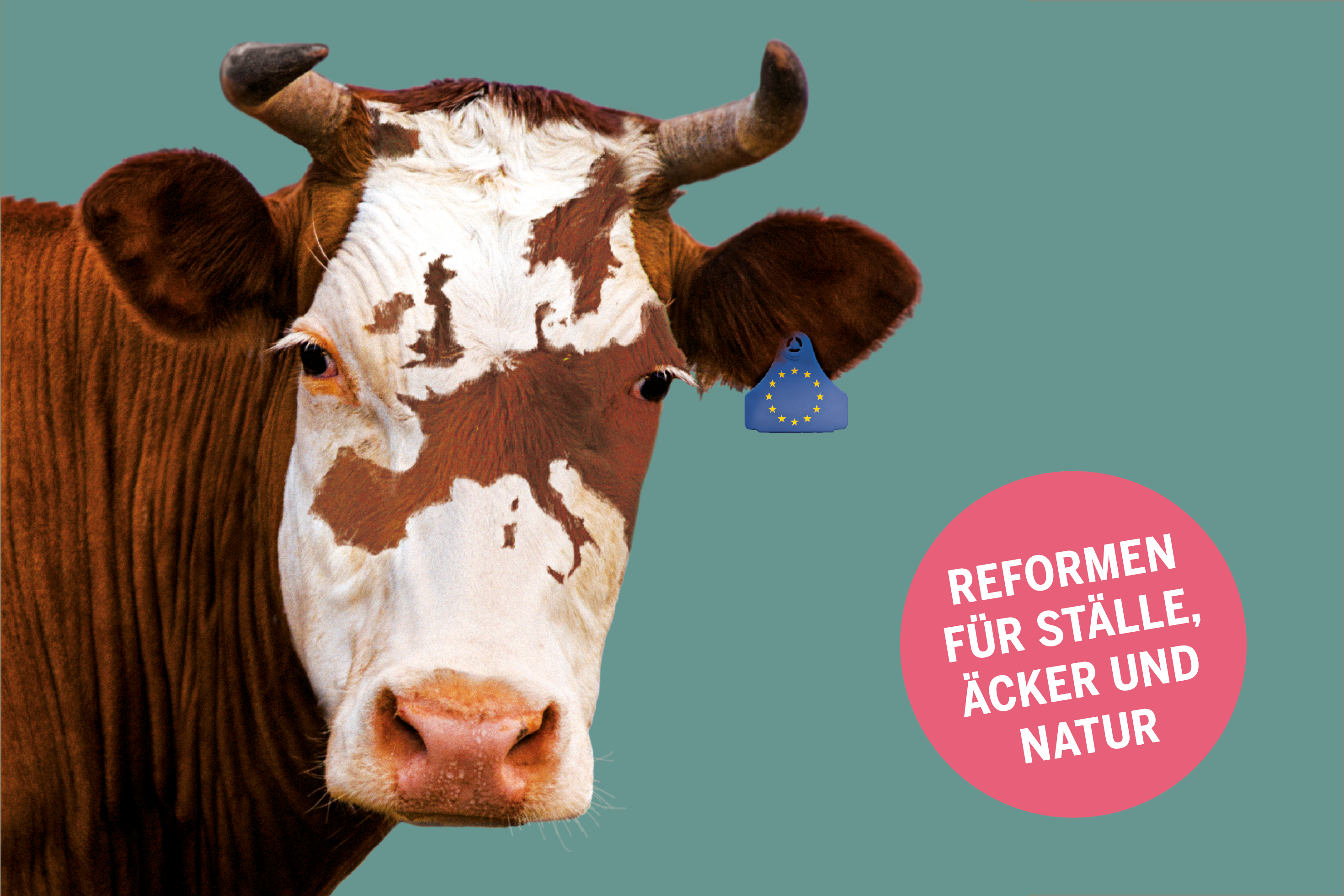 Insektenatlas 2020 | Heinrich-Böll-Stiftung