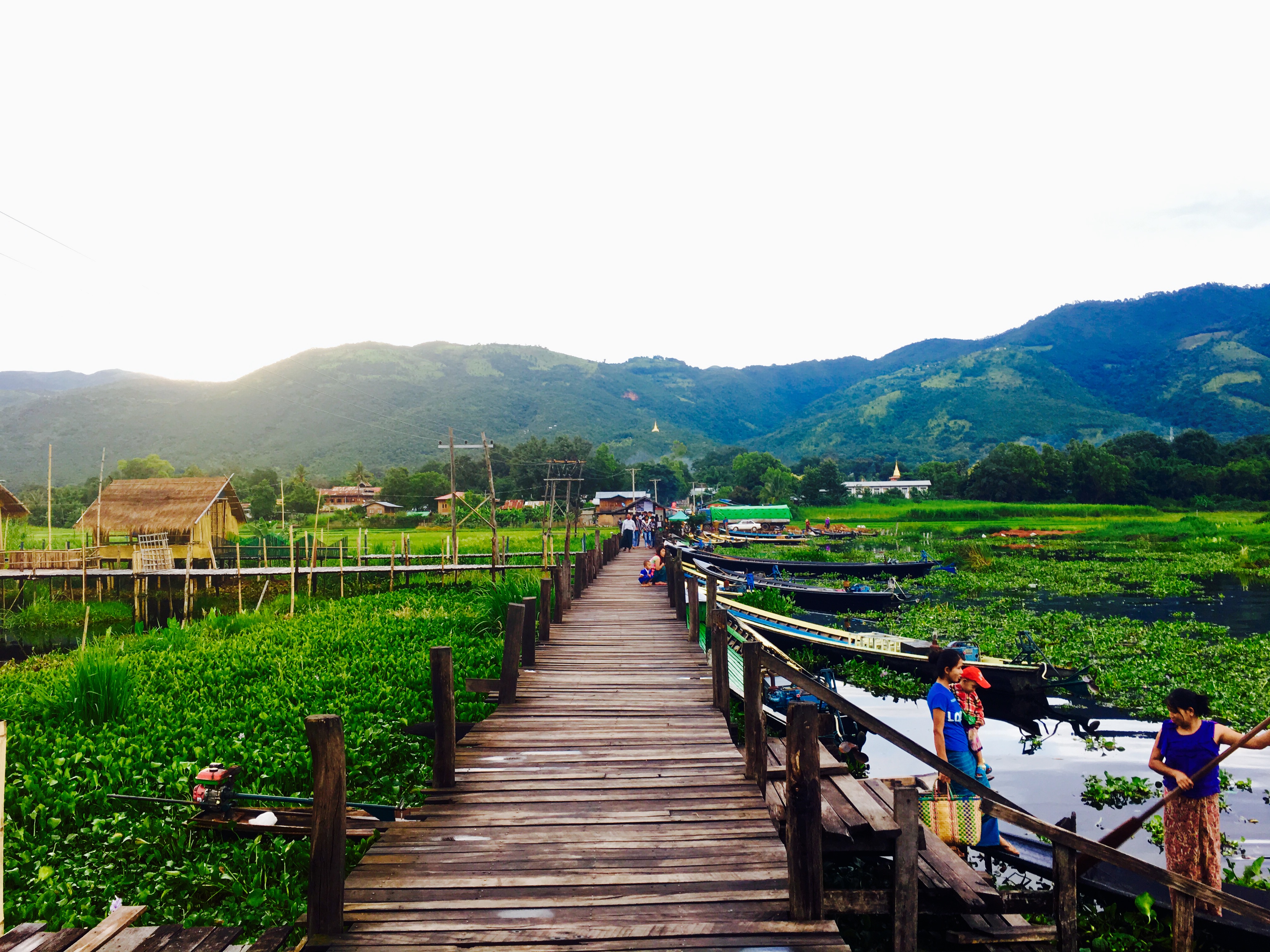 Feminist Foreign Policy in Myanmar: long wooden path between green fields
